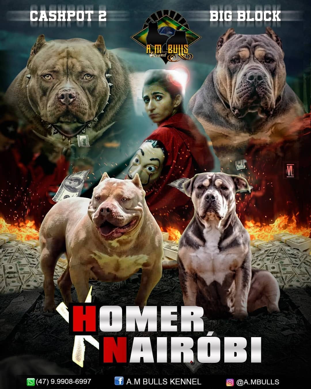 Post 9 by A.M Bulls kennel (AMBK) on Instagram (image)