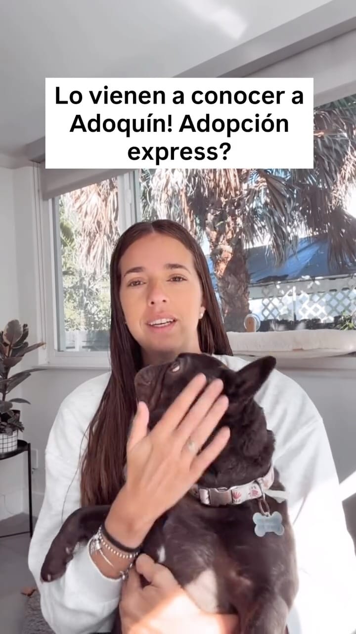 Post 10 by @totolandiaok on Instagram (video)