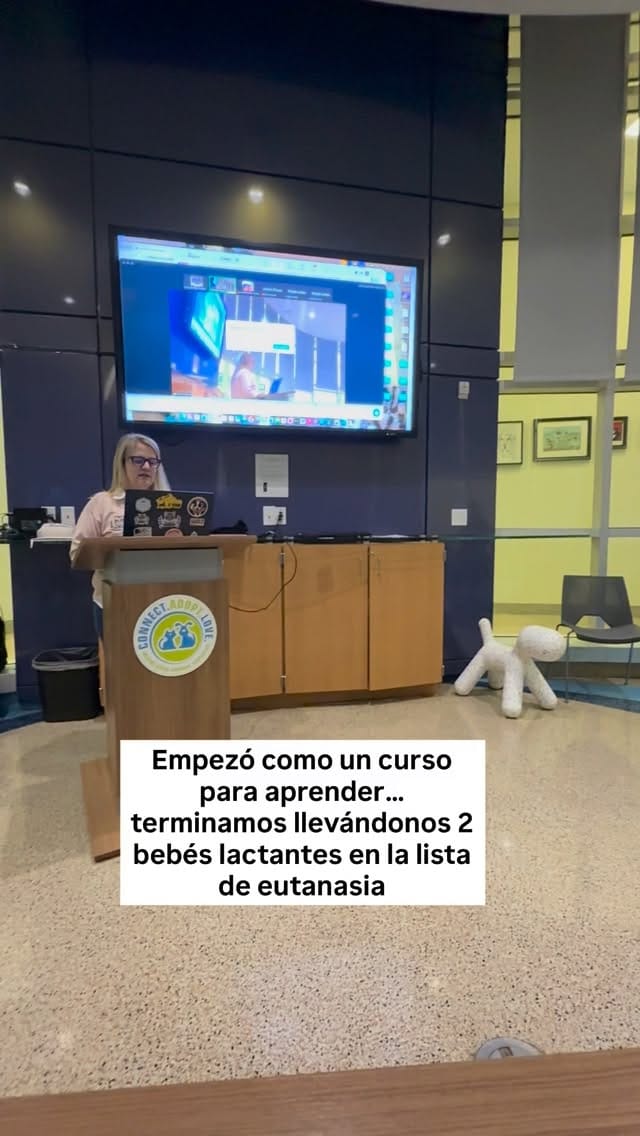 Post 6 by @totolandiaok on Instagram (video)