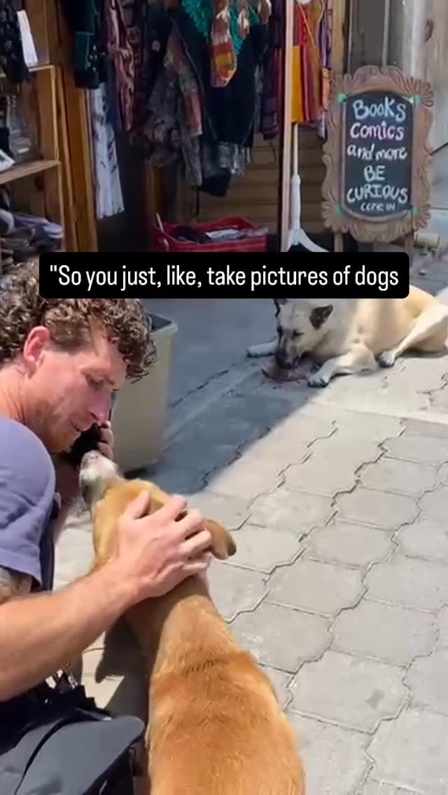 Post 3 by Yaakov Kinstein | Professonal Dog Trainer on Instagram (video)