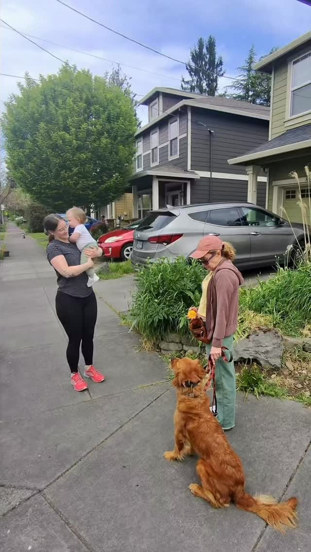 Post 7 by Yaakov Kinstein | Professonal Dog Trainer on Instagram (video)