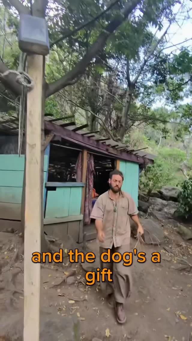 Post 5 by Yaakov Kinstein | Professonal Dog Trainer on Instagram (video)