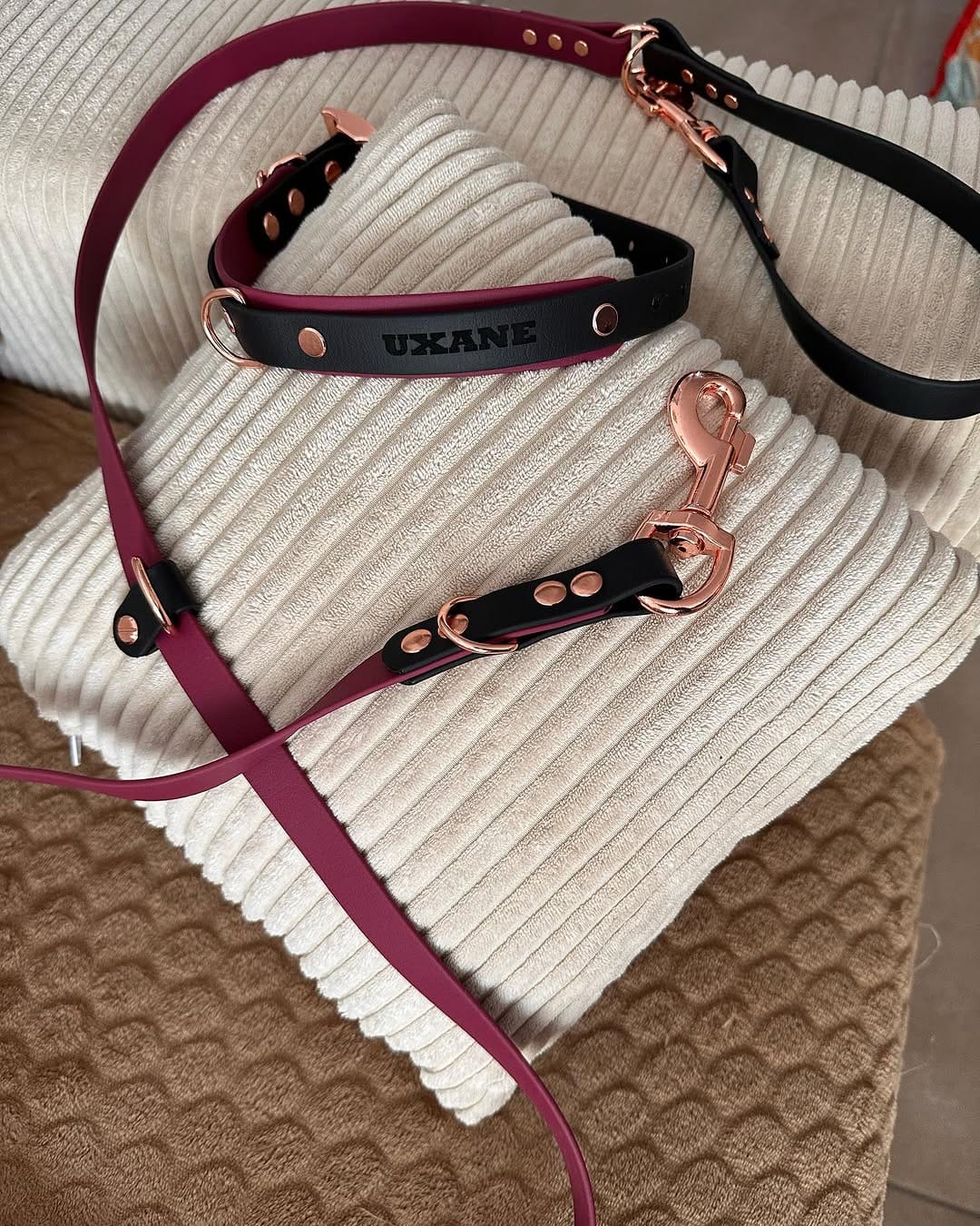 Post 4 by Eleveur Educateur OTAGG on Instagram (carousel)