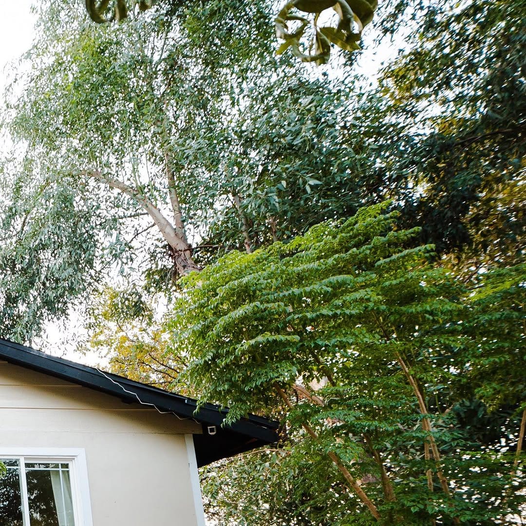 Post 6 by California’s Best AirBnb’s on Instagram (image)