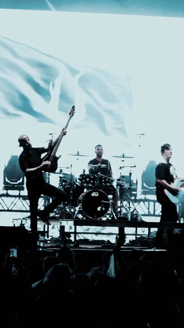 Post 8 by “manifesto” on Instagram (video)