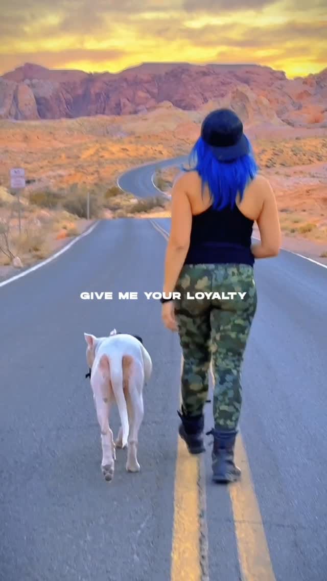 Post 3 by Tracy Lee on Instagram (video)