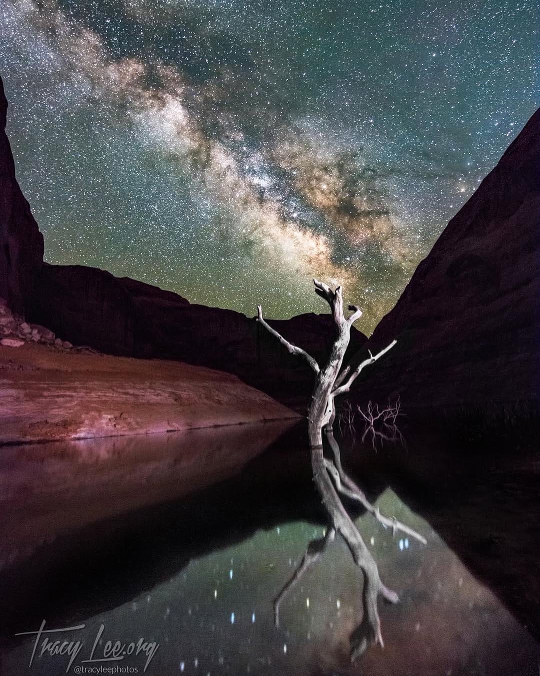 Post 2 by Tracy Lee on Instagram (image)