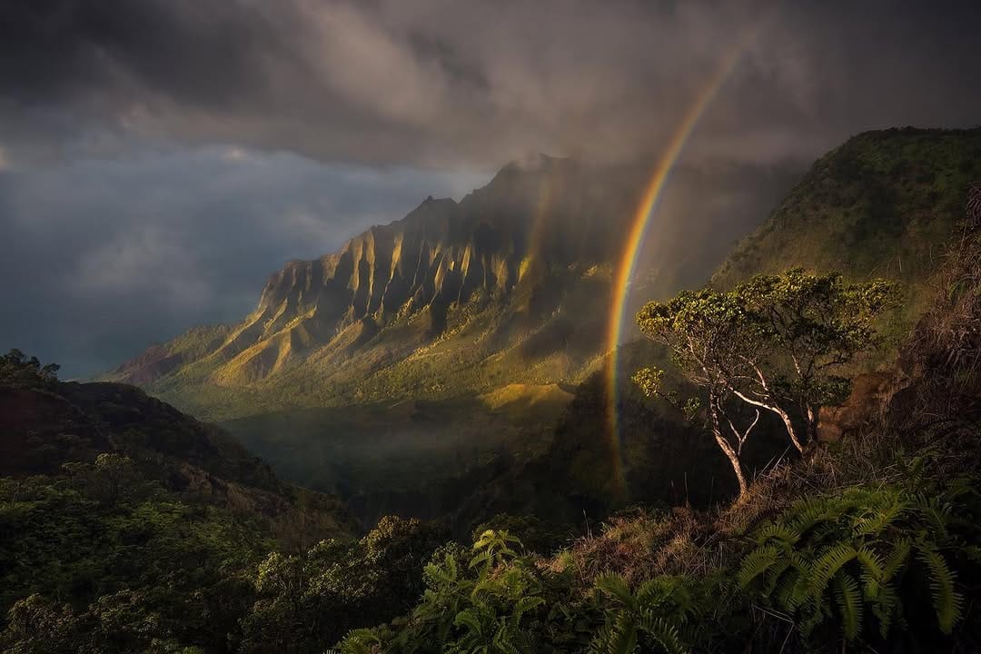 Post 10 by Matt Meisenheimer Photography on Instagram (image)