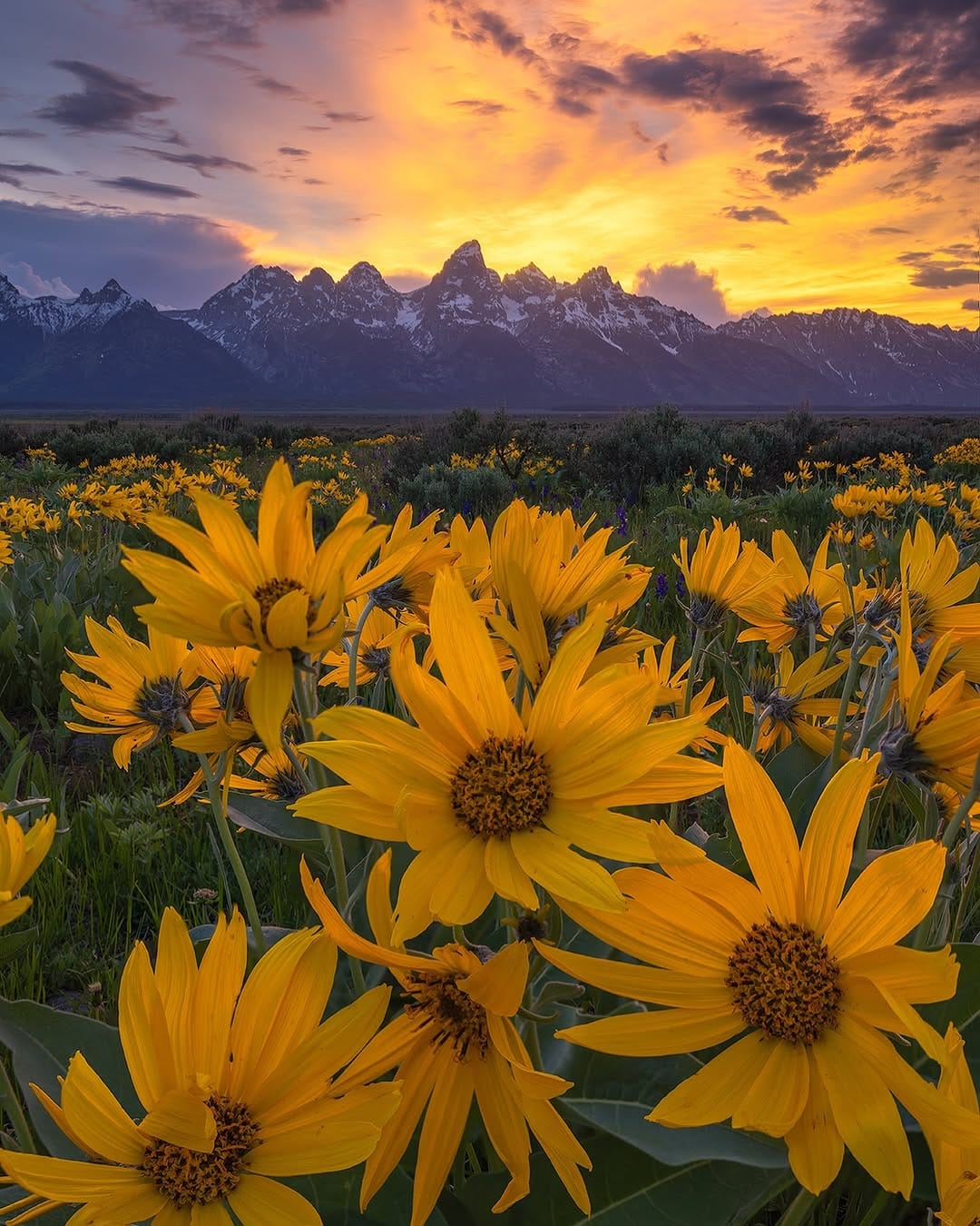 Post 6 by Matt Meisenheimer Photography on Instagram (image)
