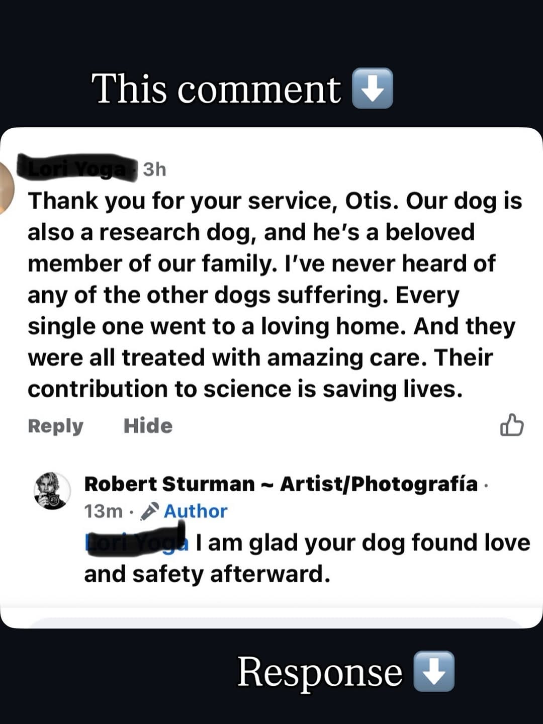 Post 8 by Otis the Handsome Hound on Instagram (image)