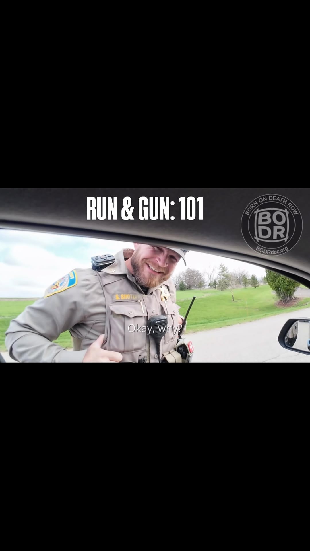 Post 4 by Otis the Handsome Hound on Instagram (video)