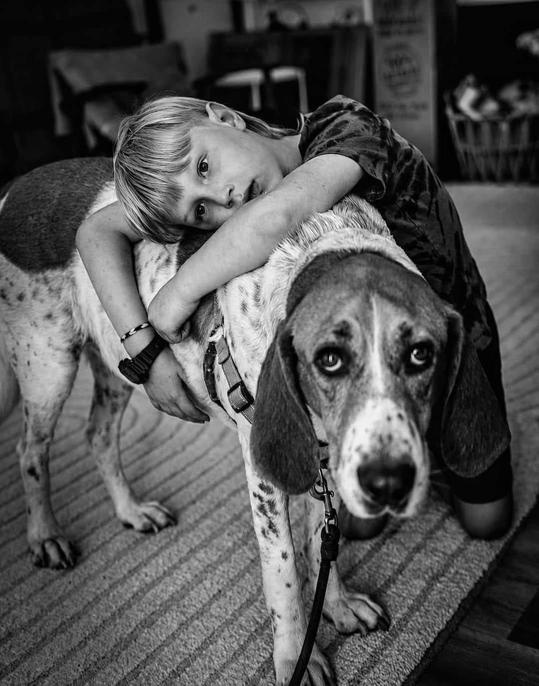 Post 7 by Otis the Handsome Hound on Instagram (image)