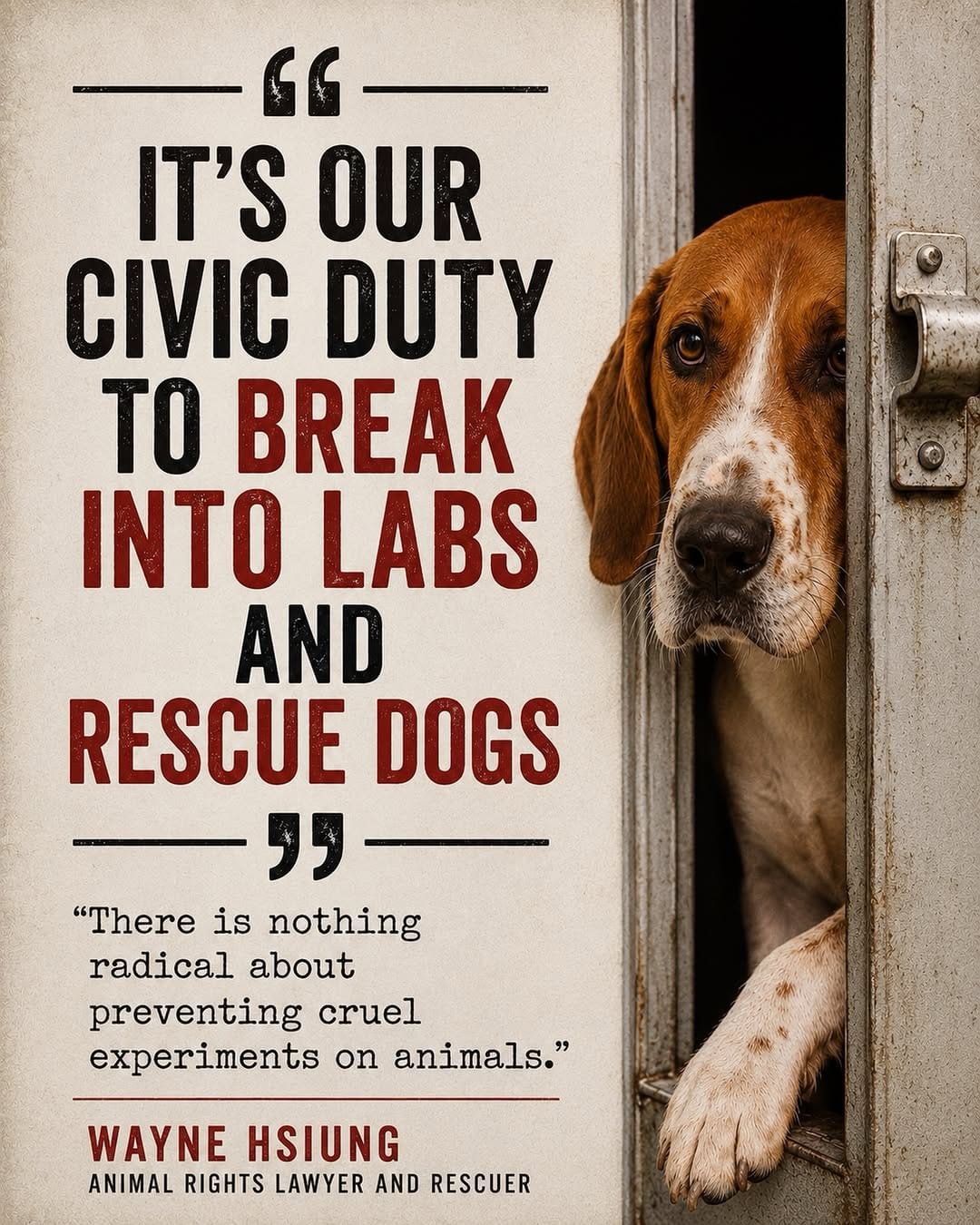 Post 2 by Otis the Handsome Hound on Instagram (image)