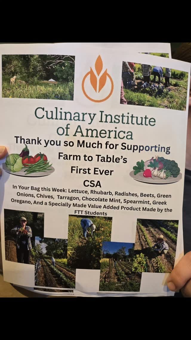 Post 1 by The CIA Greystone on Instagram (video)