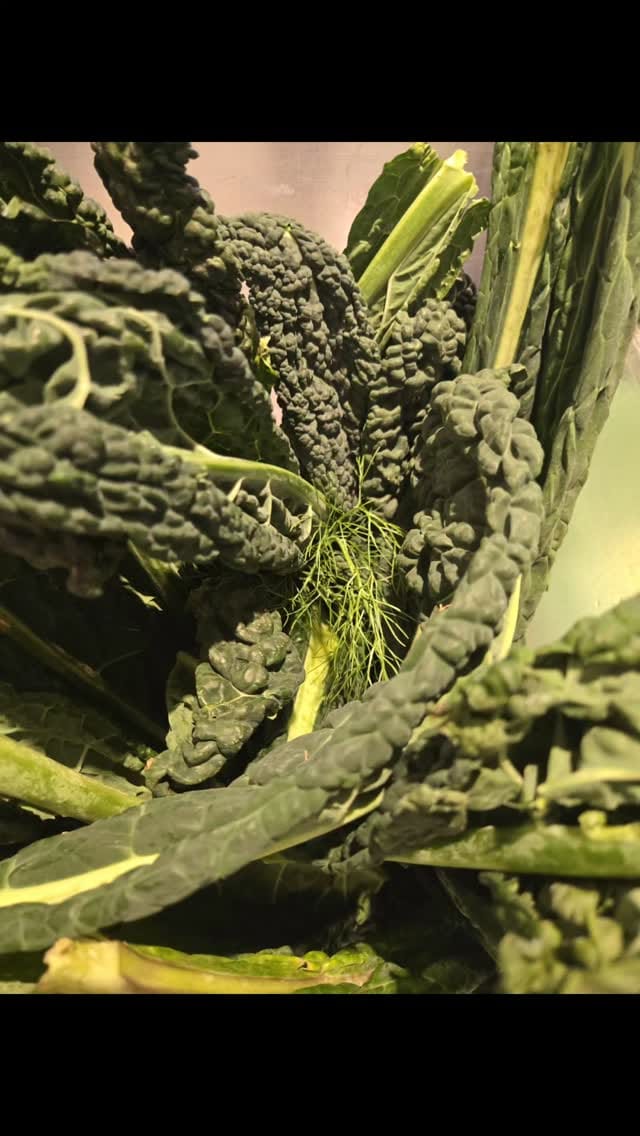 Post 3 by The CIA Greystone on Instagram (video)