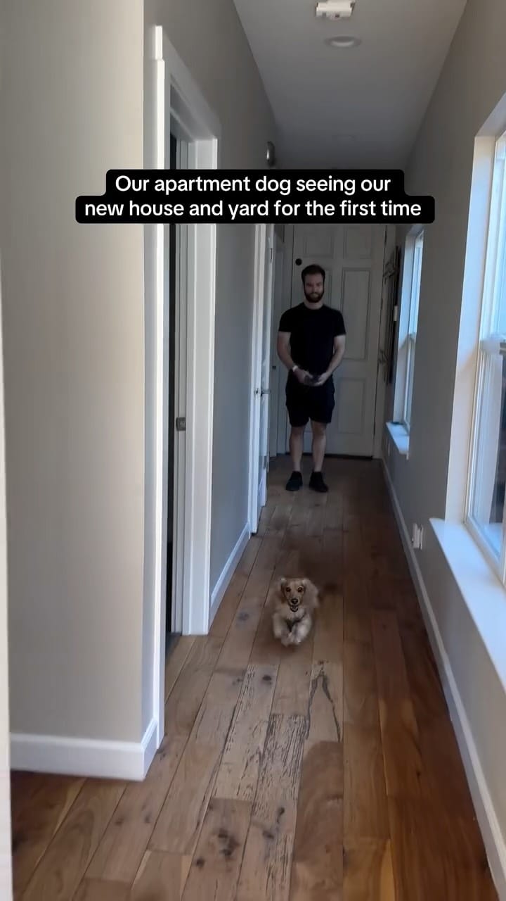 Post 10 by Cannoli on Instagram (video)