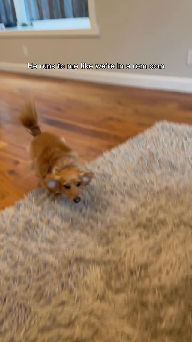 Post 3 by Cannoli on Instagram (video)