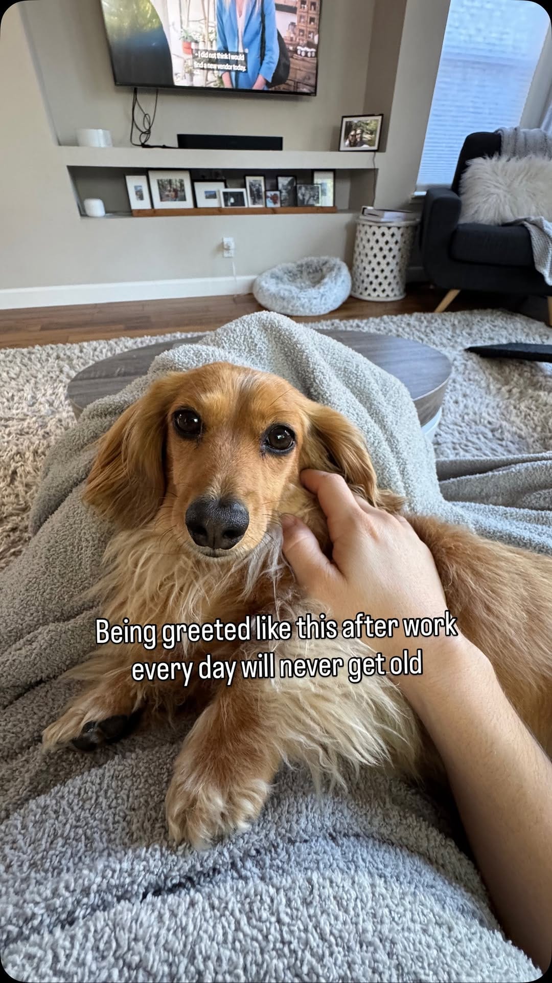 Post 9 by Cannoli on Instagram (video)