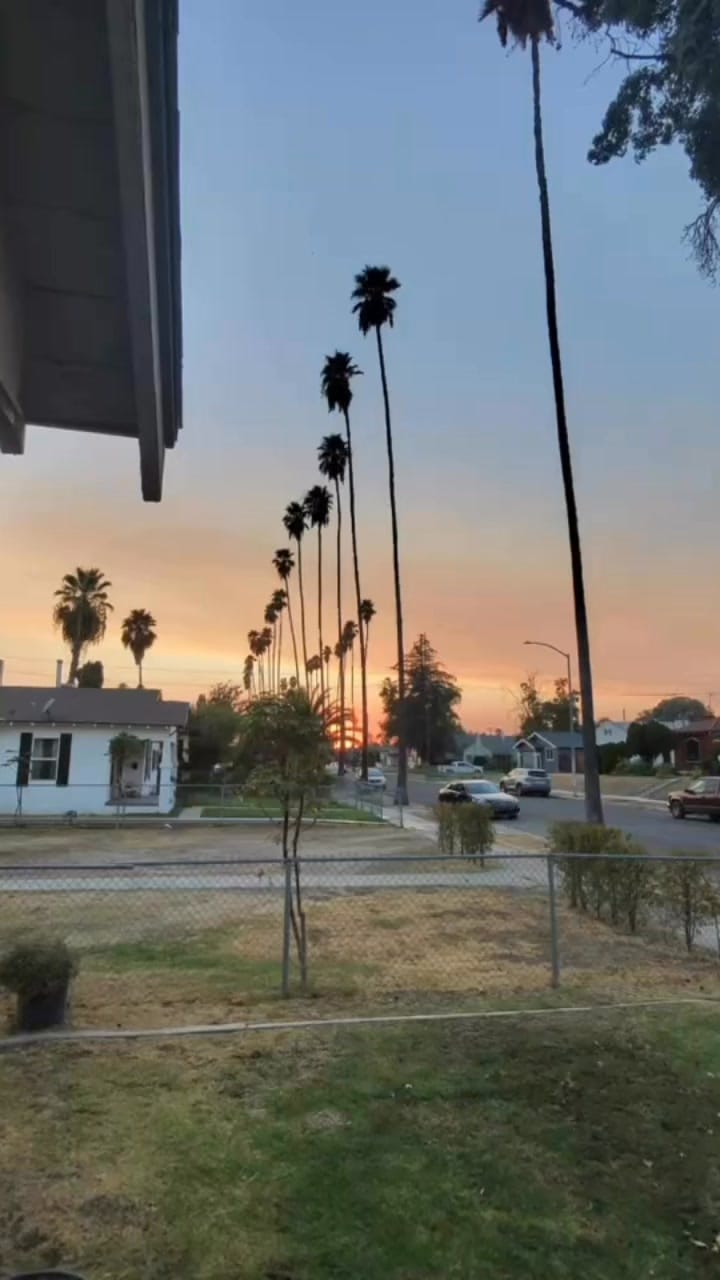 Post 1 by Duke Dupree on Instagram (video)