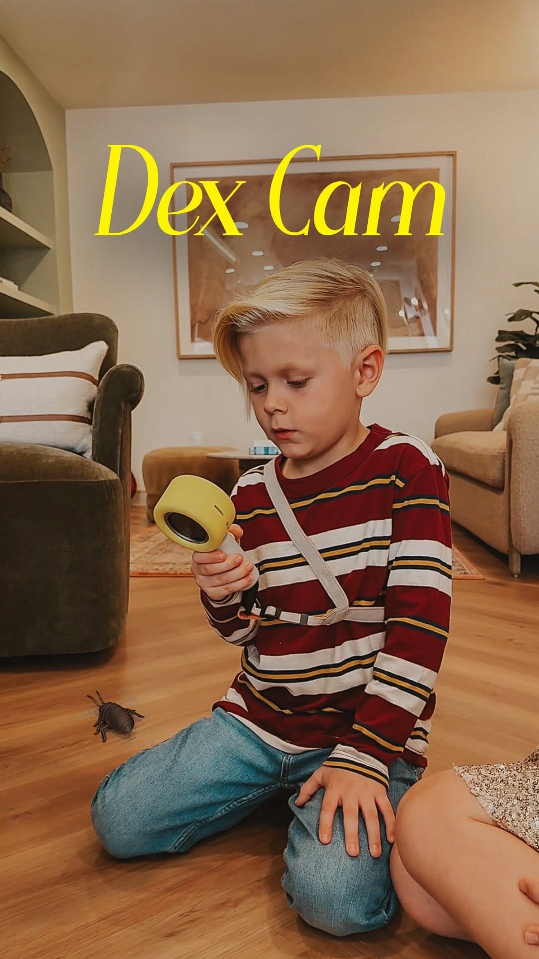 Post 7 by Dex - the Language Learning Camera on Instagram (video)
