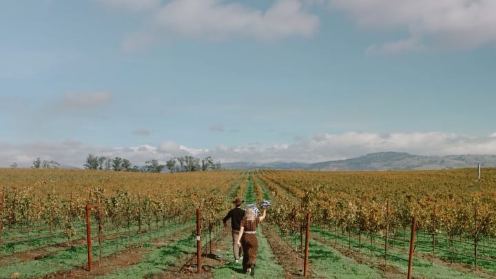 Post 4 by We film people. They just happen to get married. on Instagram (carousel)
