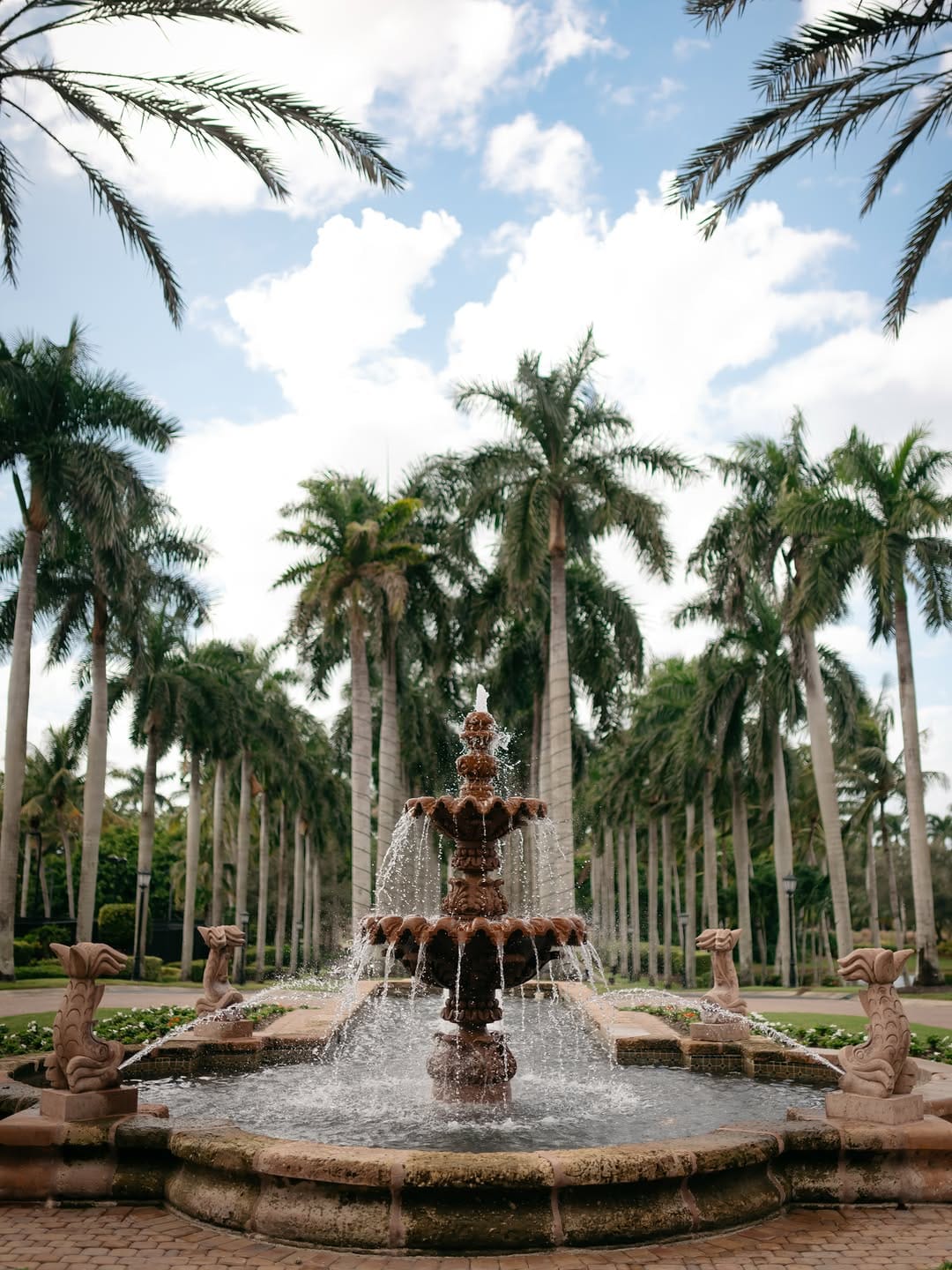 Post 4 by Heather Pauline Davis on Instagram (image)