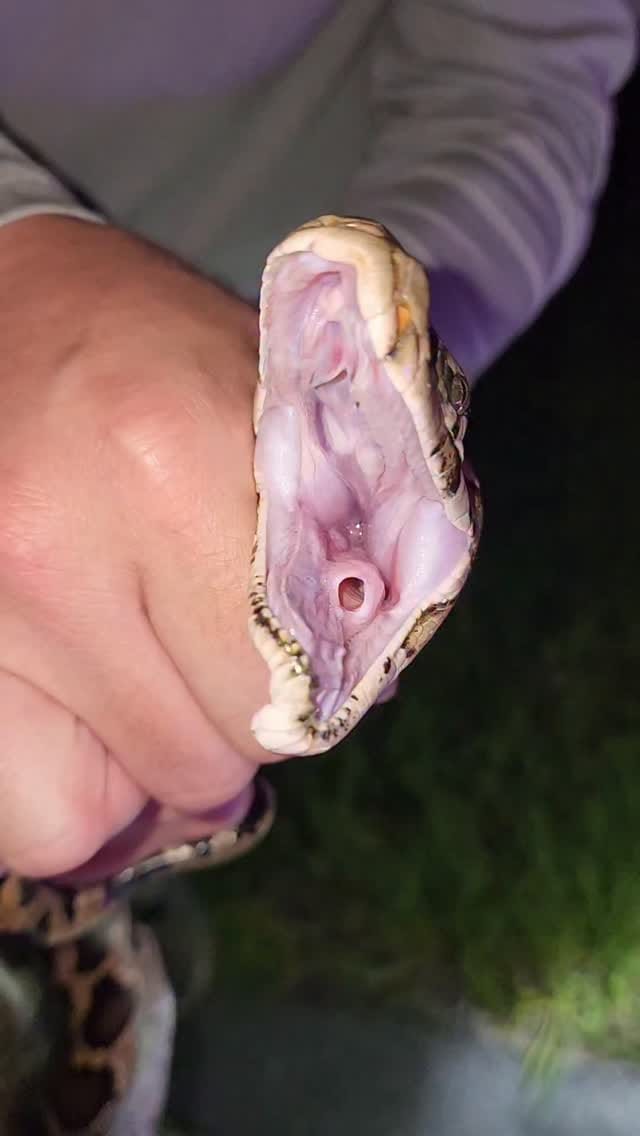 Post 4 by Triad Medical Training on Instagram (video)