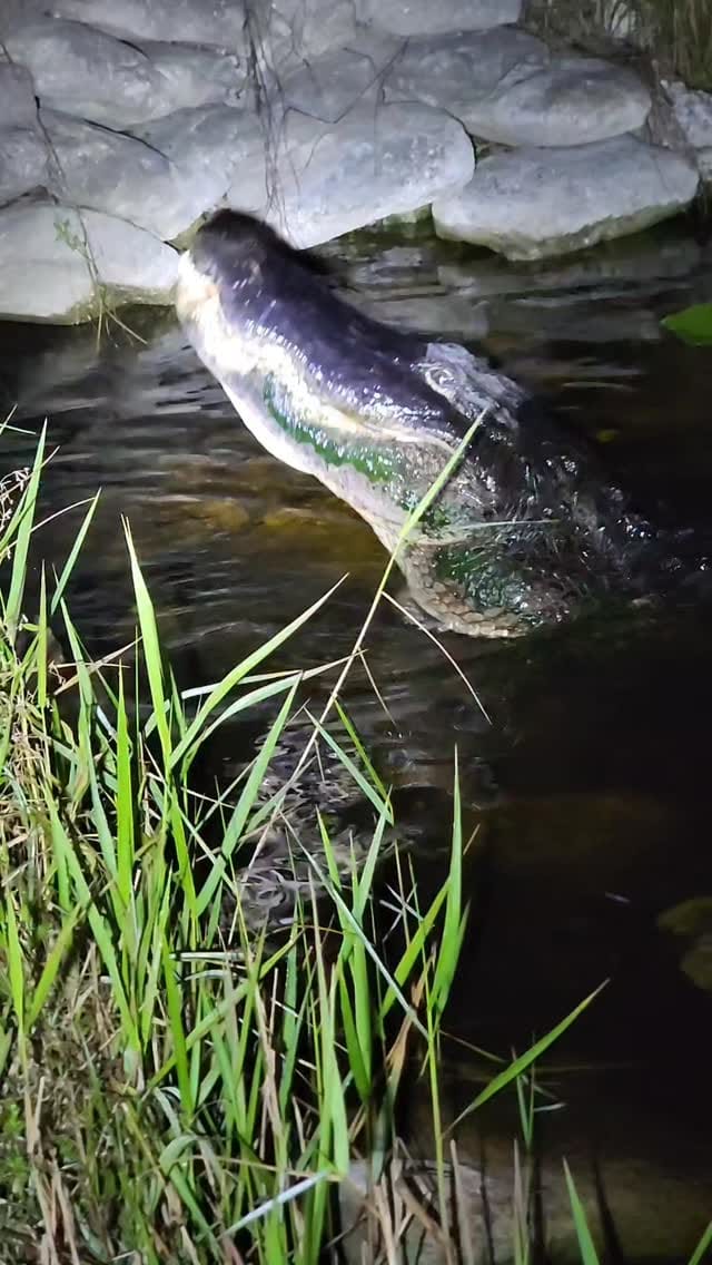 Post 10 by Triad Medical Training on Instagram (video)