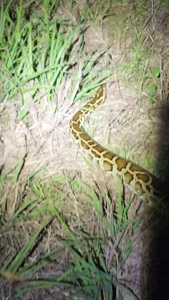 Post 9 by Triad Medical Training on Instagram (video)