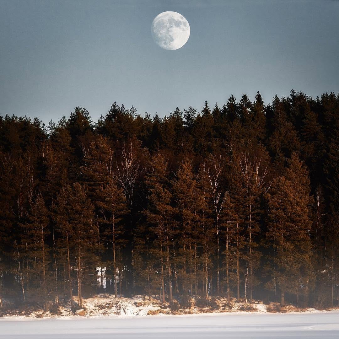 Post 7 by Nathan Hope on Instagram (image)