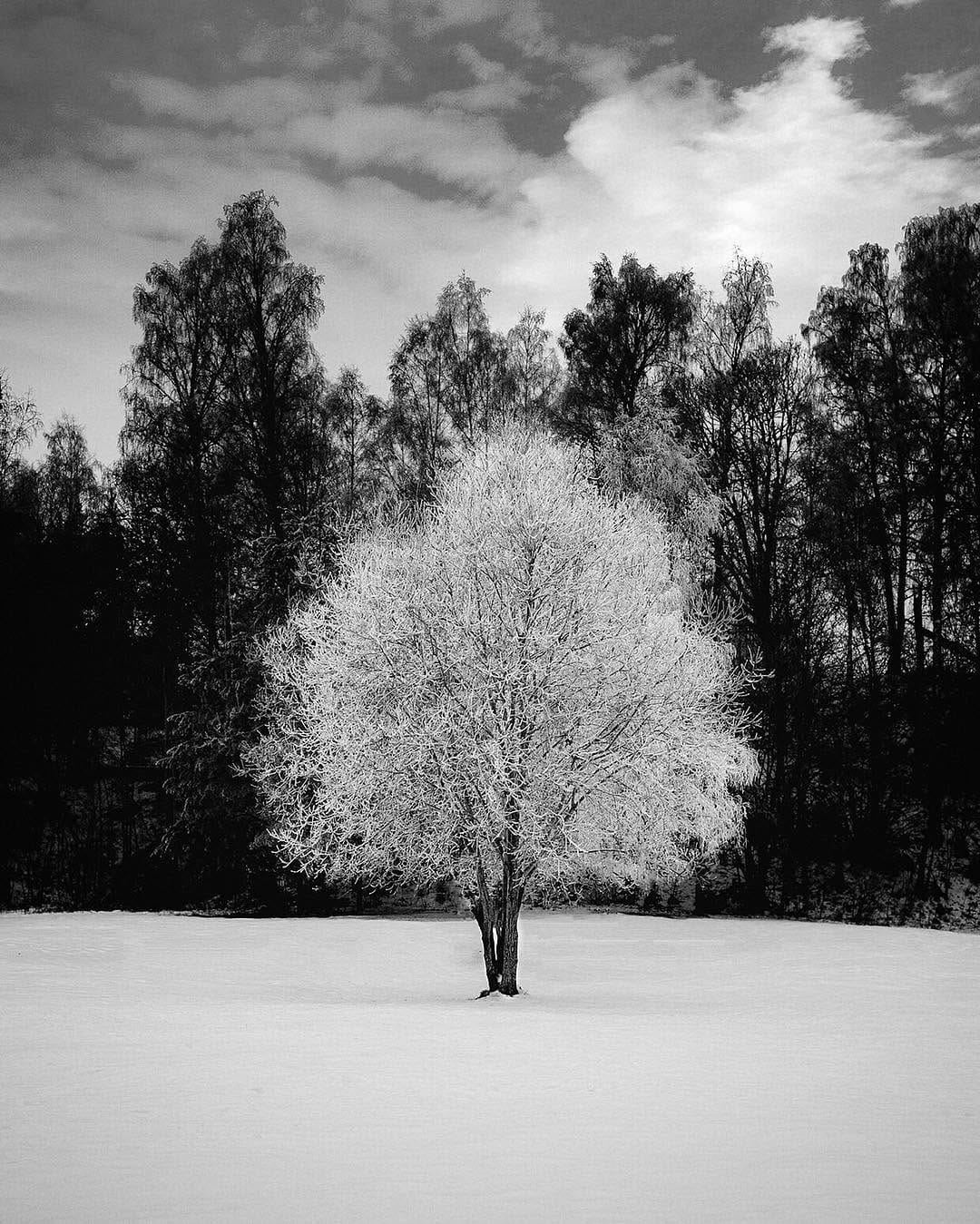Post 8 by Nathan Hope on Instagram (image)