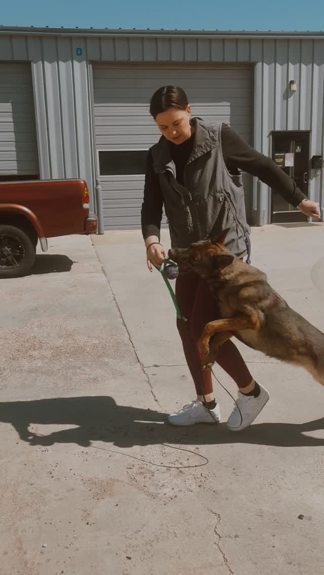 Post 1 by 𝗠𝗢𝗖 𝗞𝟵 𝗧𝗿𝗮𝗶𝗻𝗶𝗻𝗴 on Instagram (video)