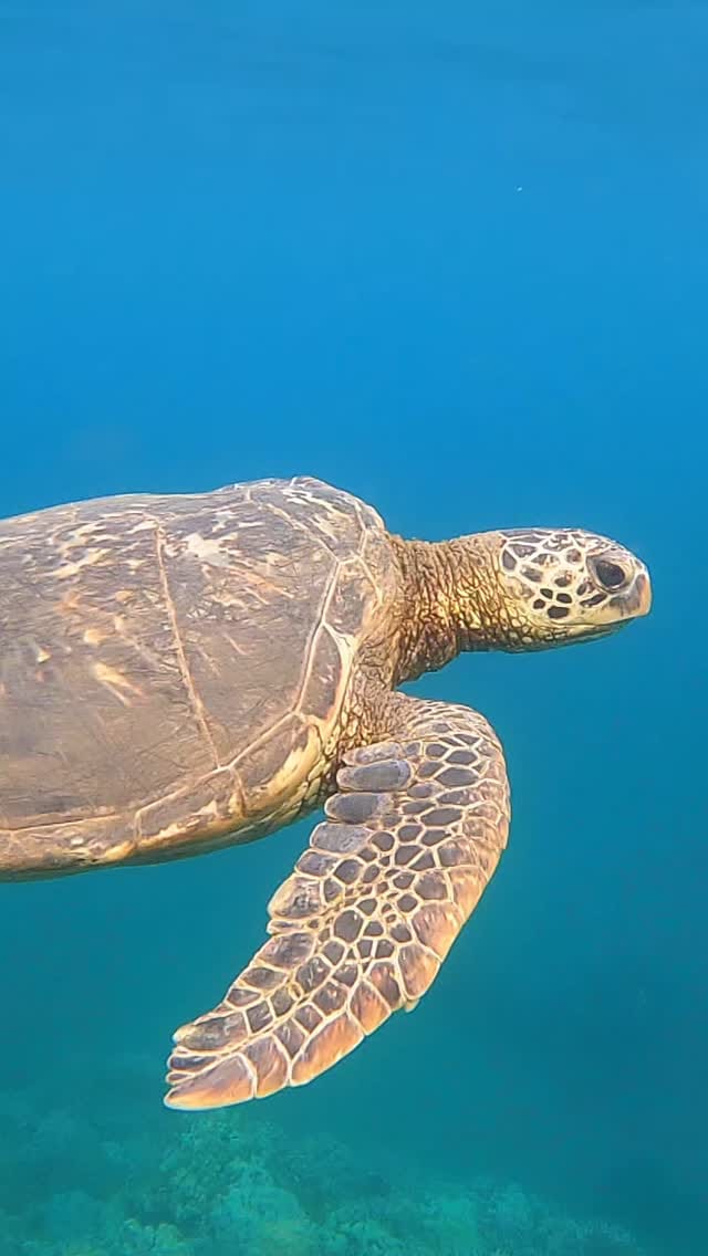 Post 3 by Stirling Spencer on Instagram (video)