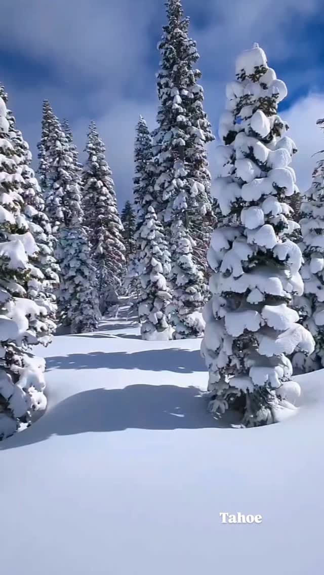 Post 4 by Stirling Spencer on Instagram (video)