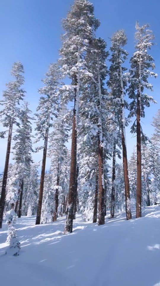 Post 9 by Stirling Spencer on Instagram (video)