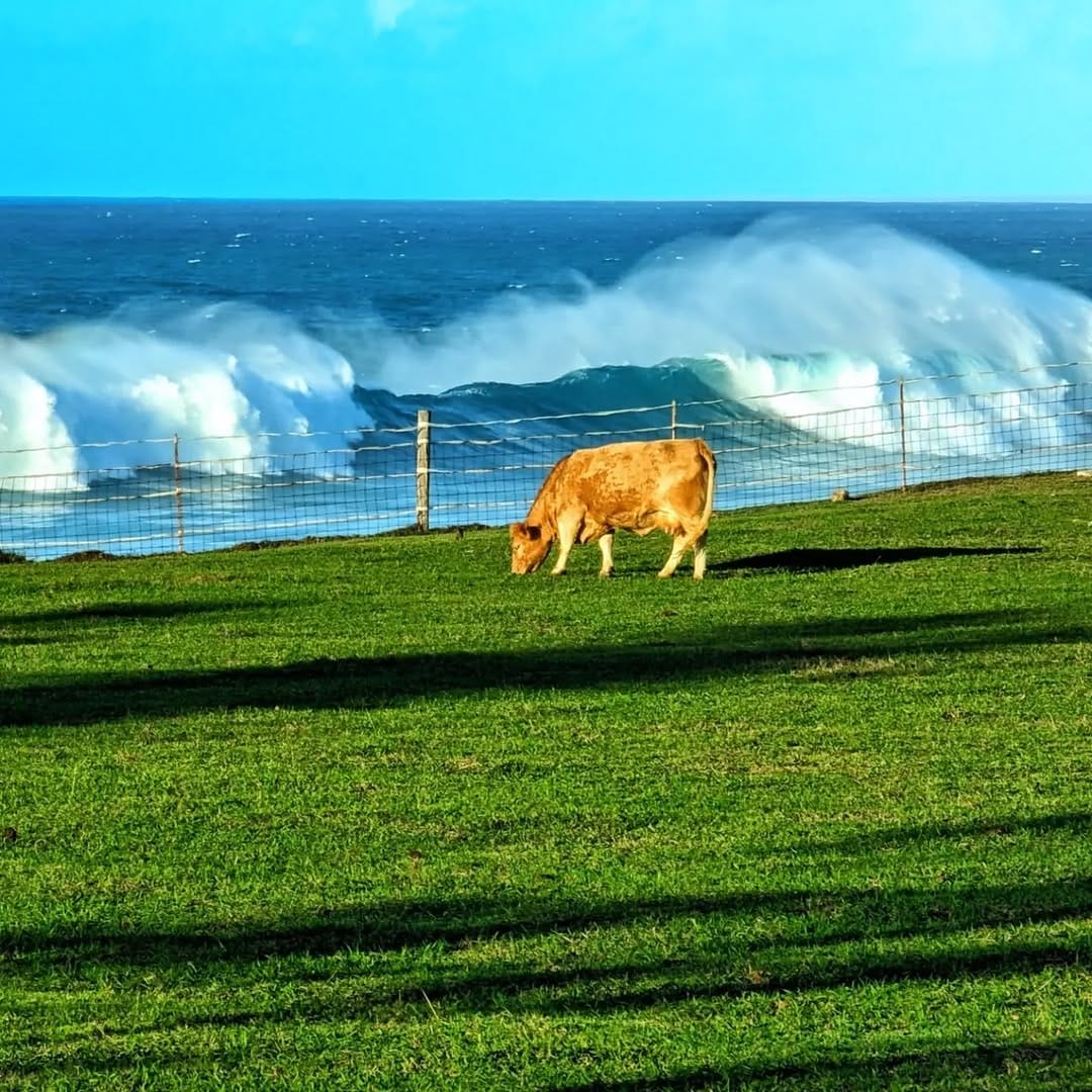 Post 10 by Stirling Spencer on Instagram (image)