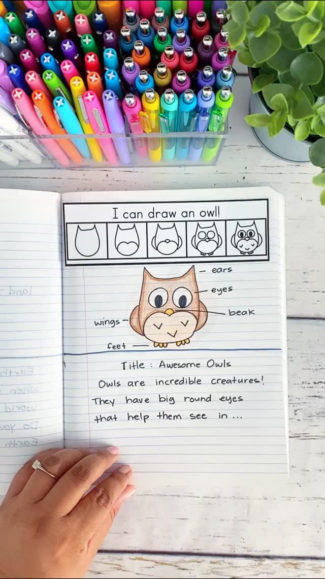 Post 4 by Maribel Sheehan | Learning in Wonderland on Instagram (video)