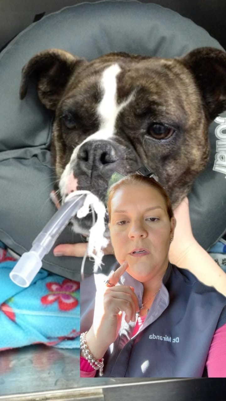 Post 10 by Dr. Marymir Miranda on Instagram (video)