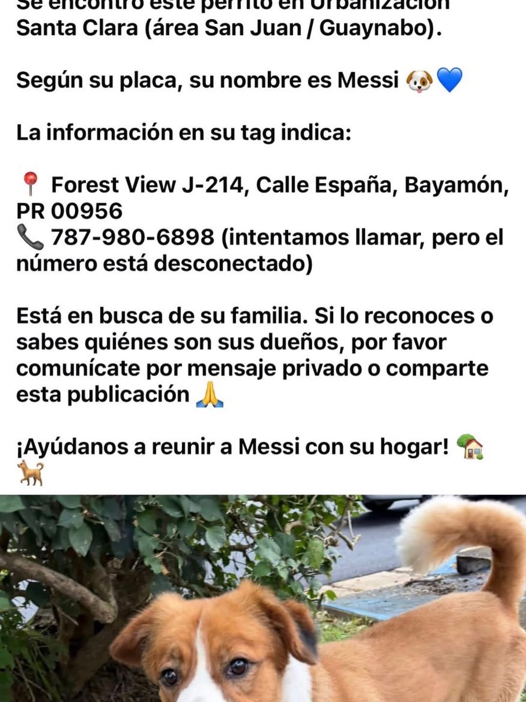 Post 2 by Dr. Marymir Miranda on Instagram (carousel)