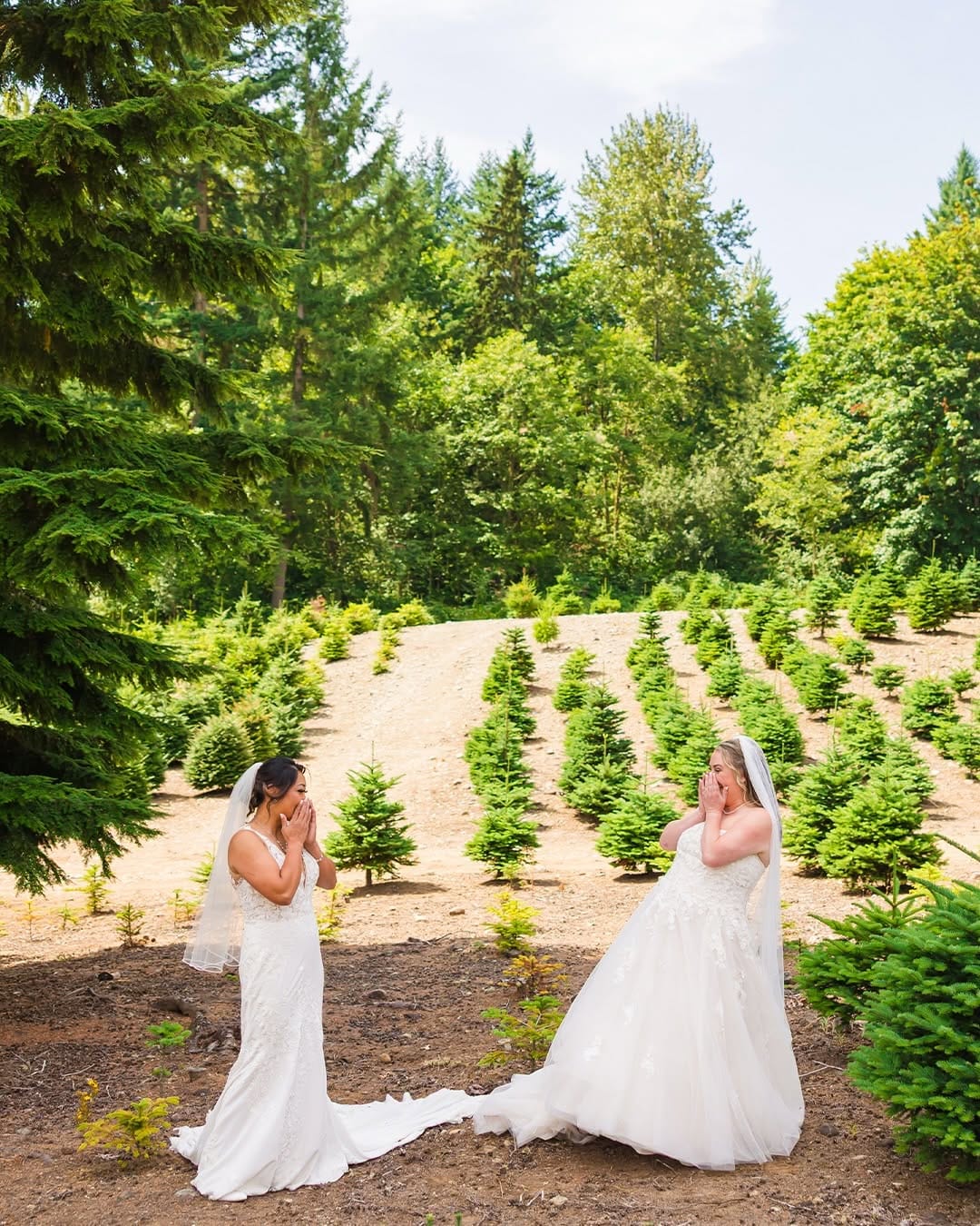 Post 9 by Seattle Wedding Photographer on Instagram (carousel)