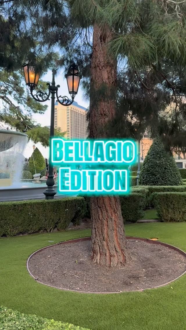 Post 5 by Las Vegas Photographer on Instagram (video)