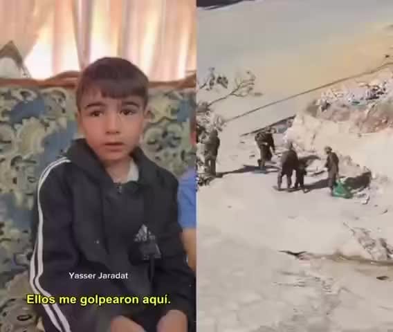 Post 8 by FREE PALESTINE on Instagram (video)