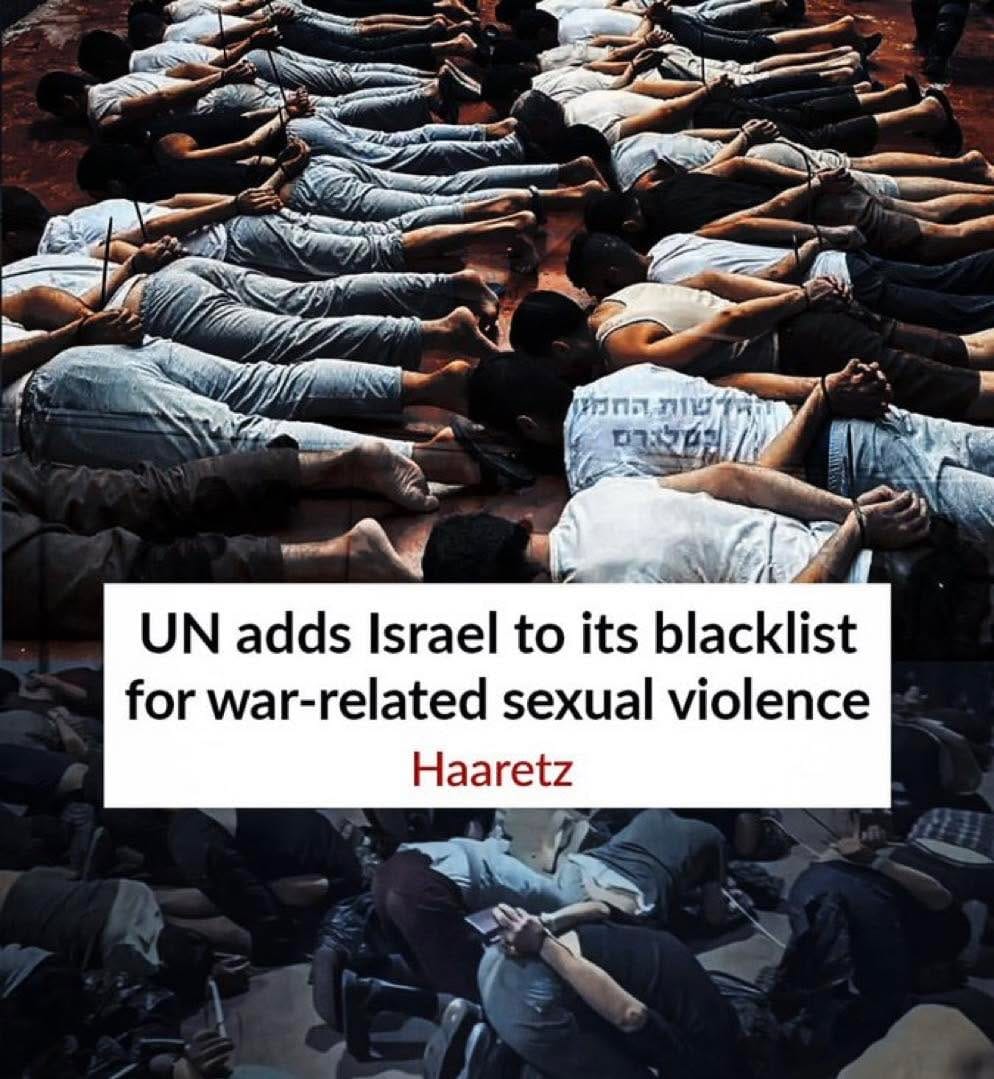 Post 5 by FREE PALESTINE on Instagram (image)