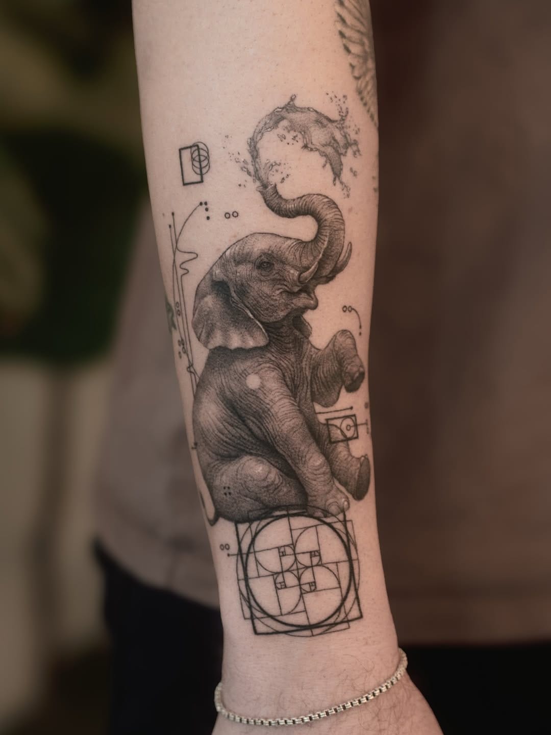 Post 8 by Madeleine Rastelli on Instagram (carousel)