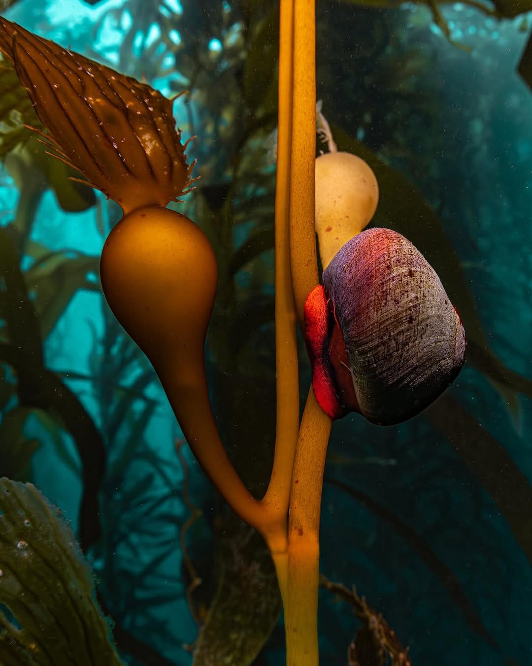 Post 1 by Oscar Ramirez on Instagram (carousel)