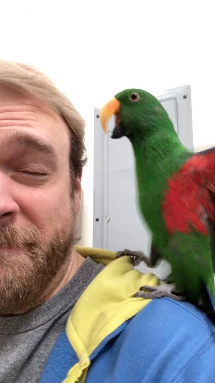 Post 10 by GCCB Rescue & Adoption on Instagram (video)