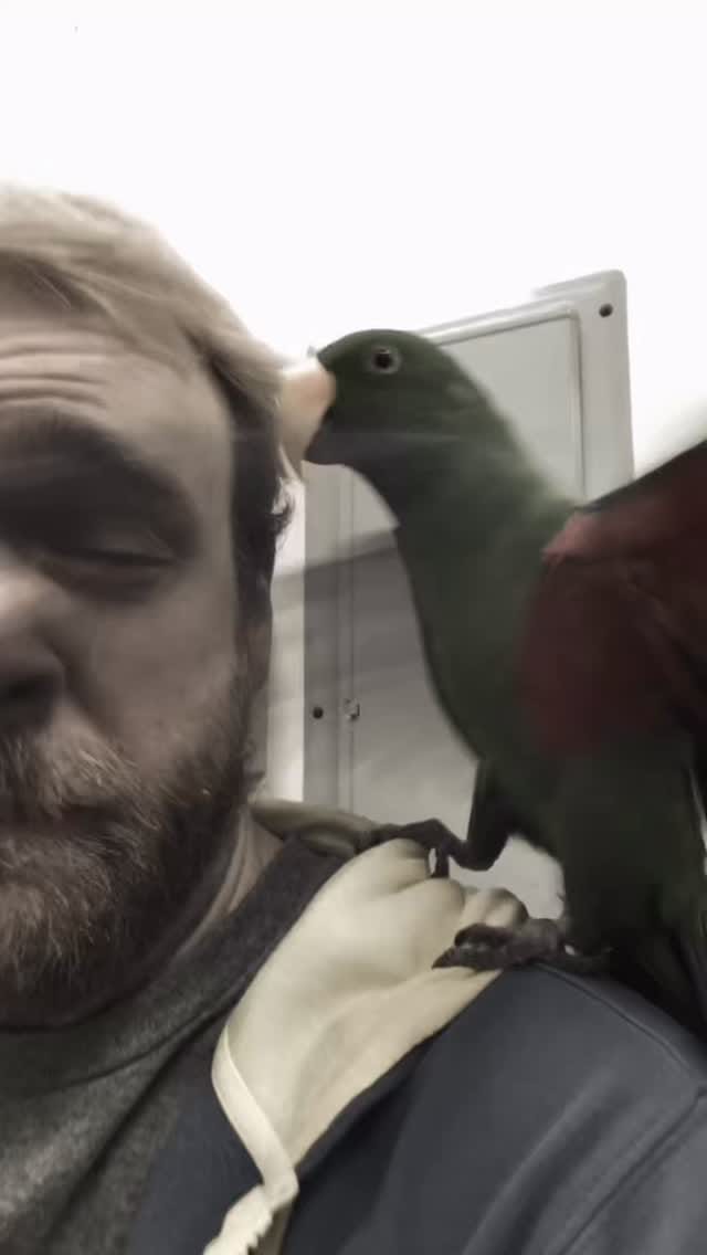 Post 8 by GCCB Rescue & Adoption on Instagram (video)