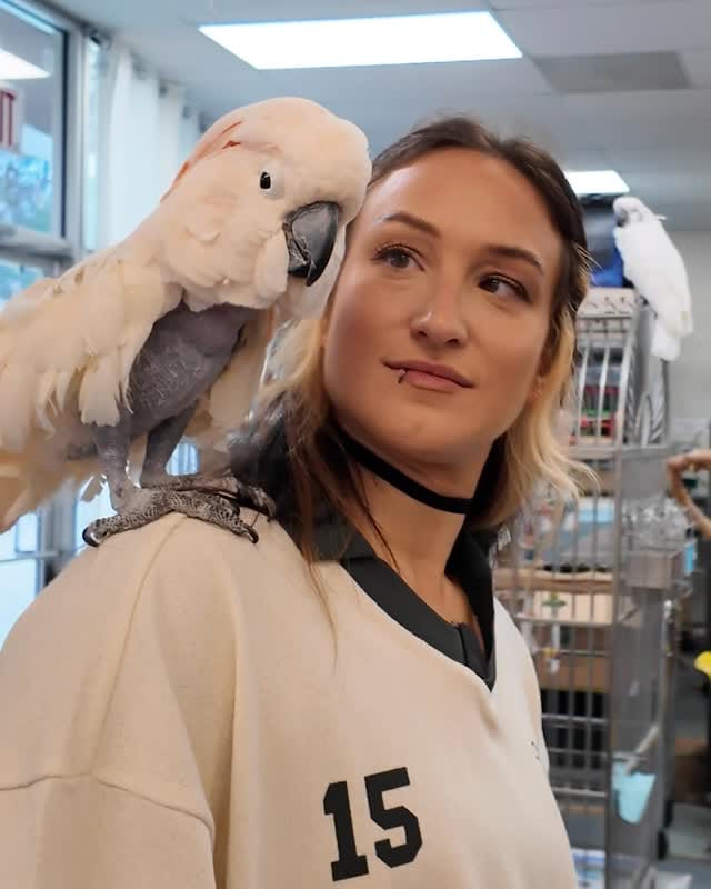 Post 9 by GCCB Rescue & Adoption on Instagram (video)