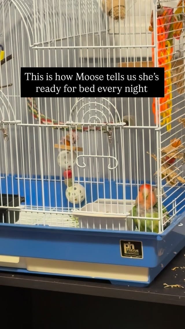 Post 6 by GCCB Rescue & Adoption on Instagram (video)