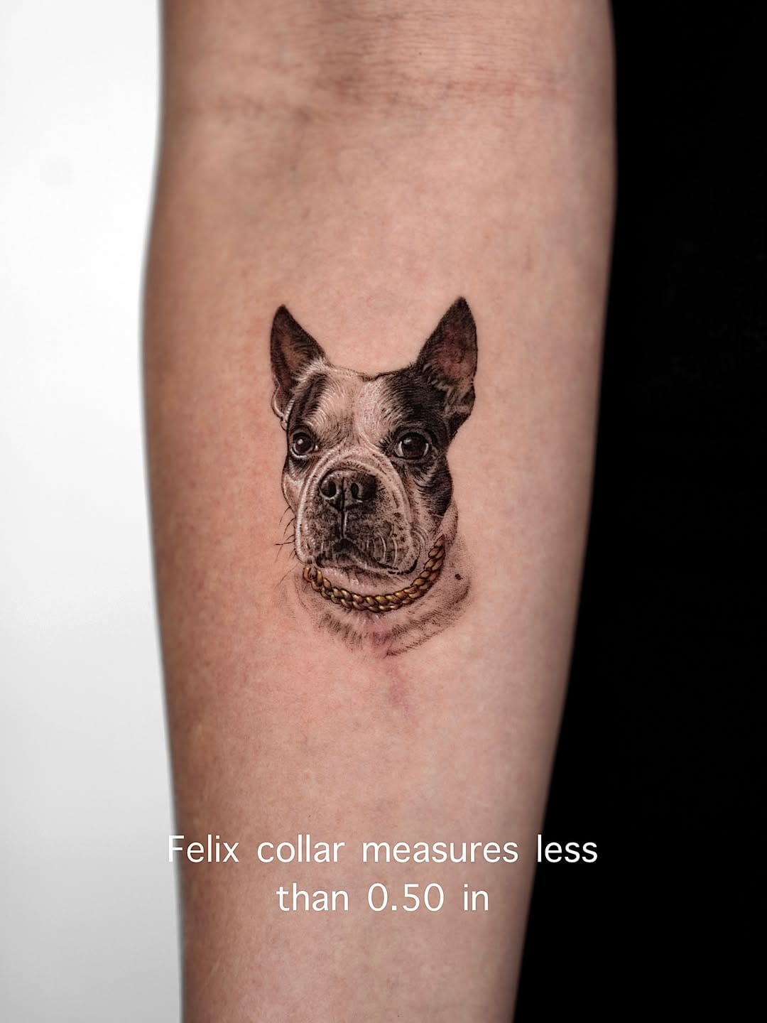 Post 1 by Alejandro Zalve | Pets tattoo & Microrealistic on Instagram (carousel)